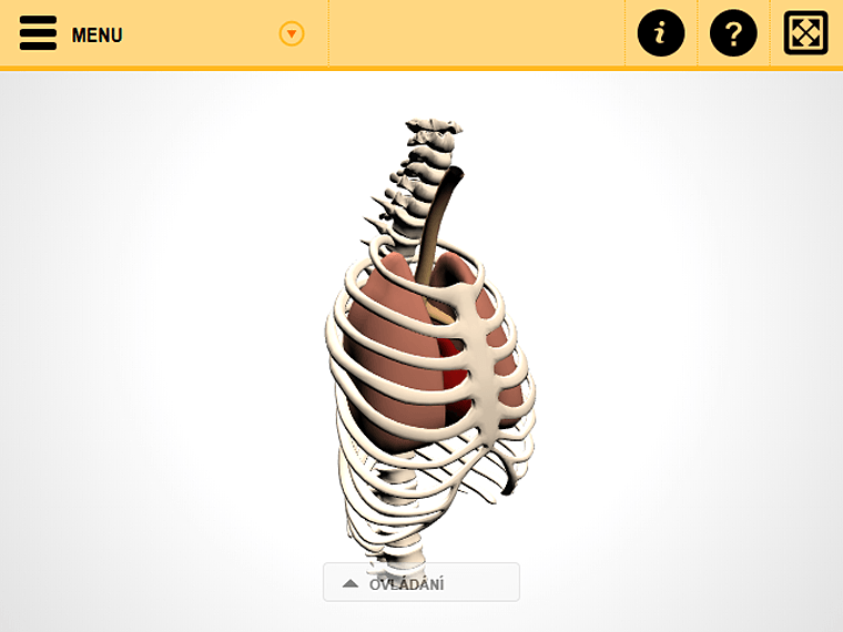 Screenshot from the 3D viewer