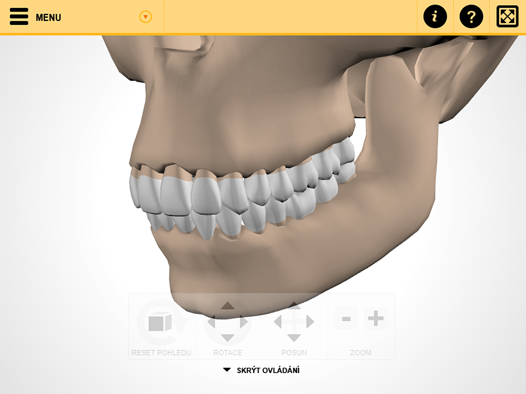 Screenshot from the 3D viewer