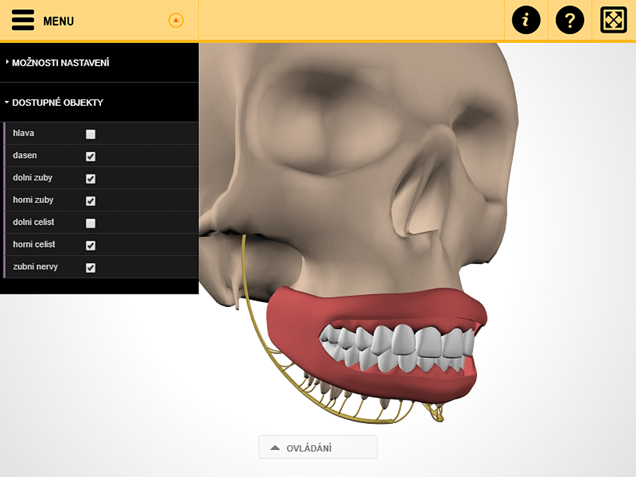 Screenshot from the 3D viewer
