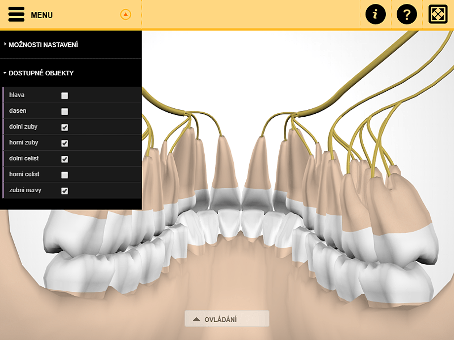 Screenshot from the 3D viewer